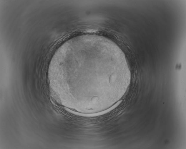 X0000115211441200912091147