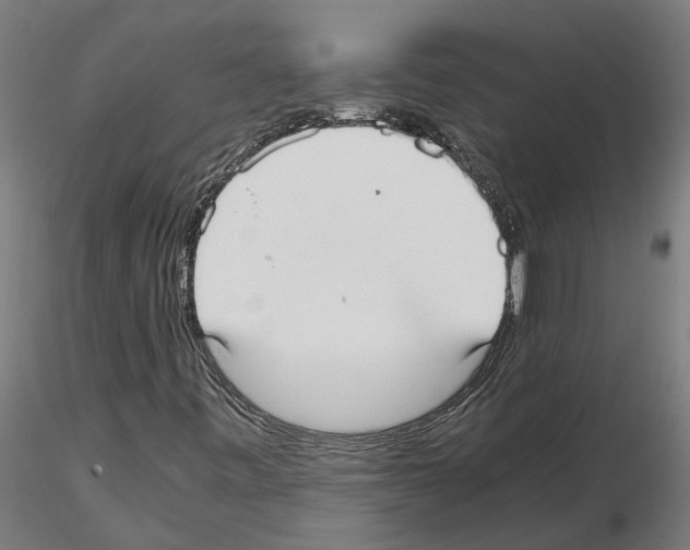 X0000115211443200912091147