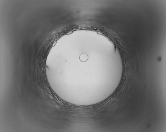 X0000115211445200912091147