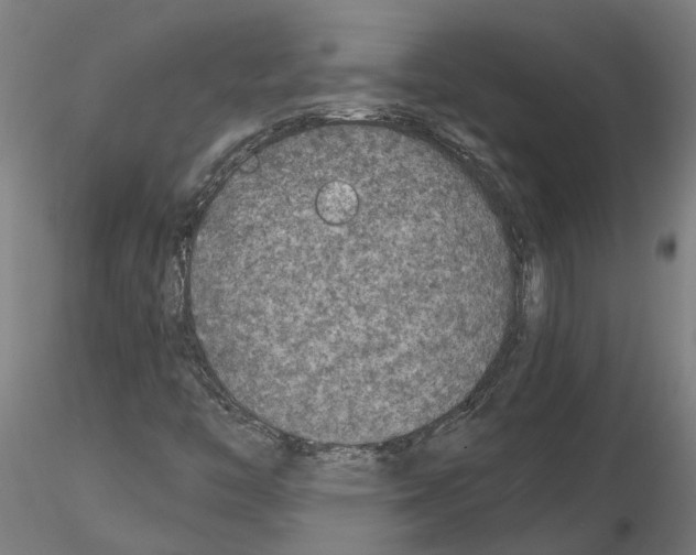 X0000115211446200912091147