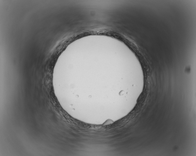 X0000115211447200912091147