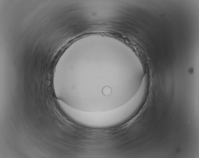 X0000115211449200912091147