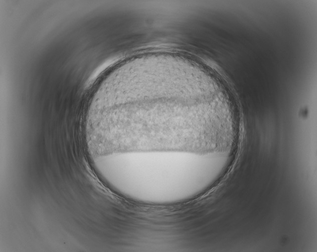 X0000115211450200912091147