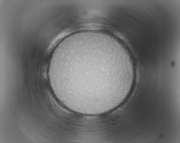 X0000115211451200912091147