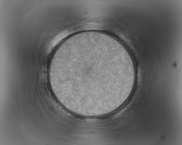 X0000115211453200912091147