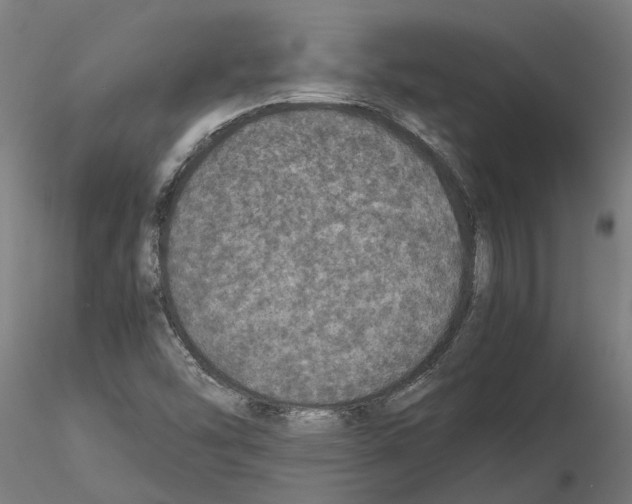 X0000115211454200912091147