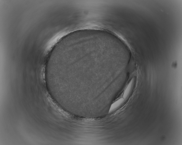 X0000115211455200912091147