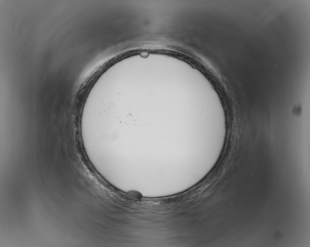 X0000115211456200912091147