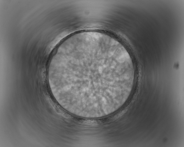 X0000115211457200912091147