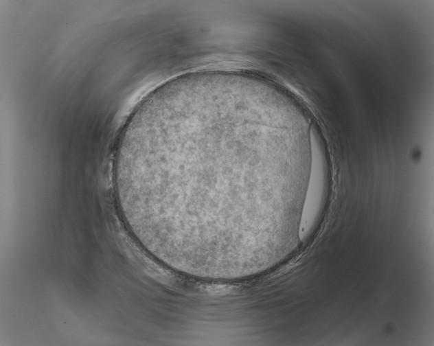 X0000115211459200912091147