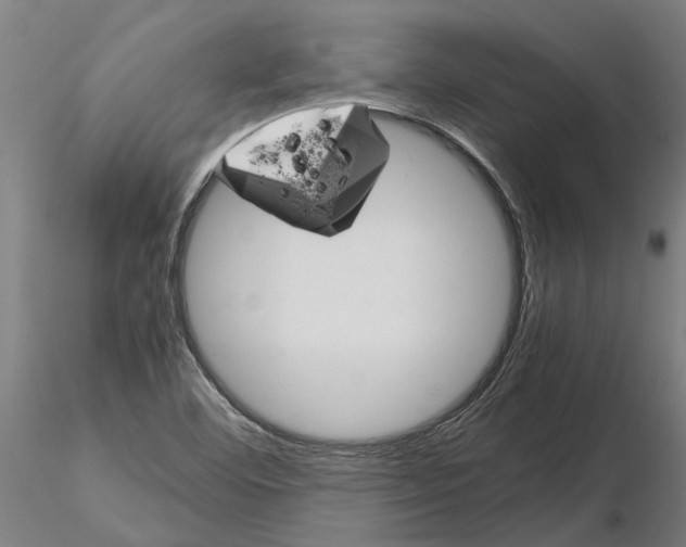 X0000115211460200912091147