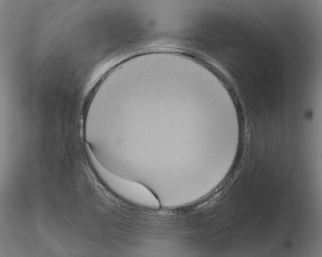 X0000115211461200912091147