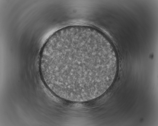 X0000115211463200912091147