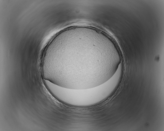 X0000115211464200912091147