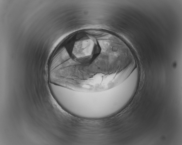 X0000115211468200912091146