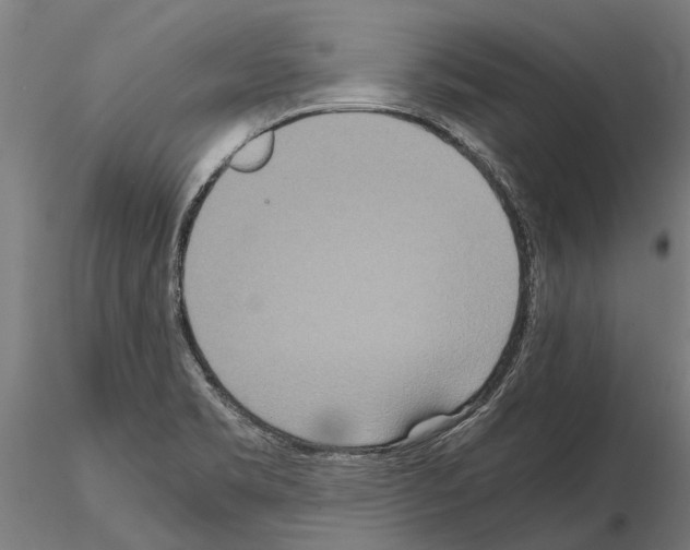 X0000115211469200912091146