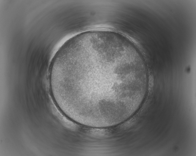 X0000115211470200912091146