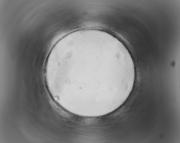 X0000115211471200912091146