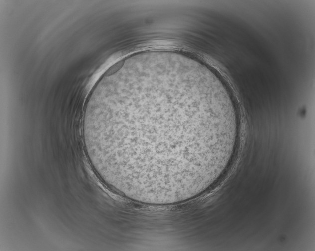 X0000115211473200912091146