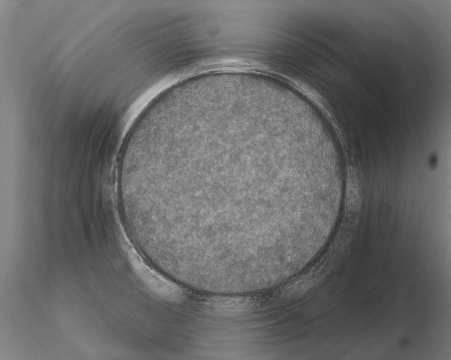 X0000115211474200912091146