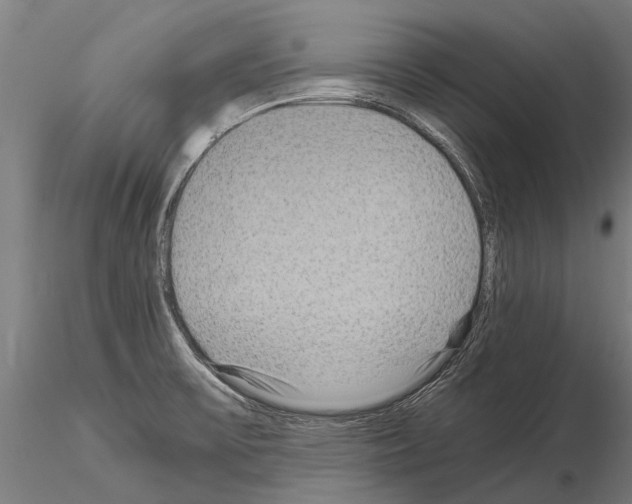 X0000115211475200912091146