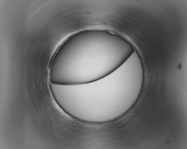 X0000115211476200912091146