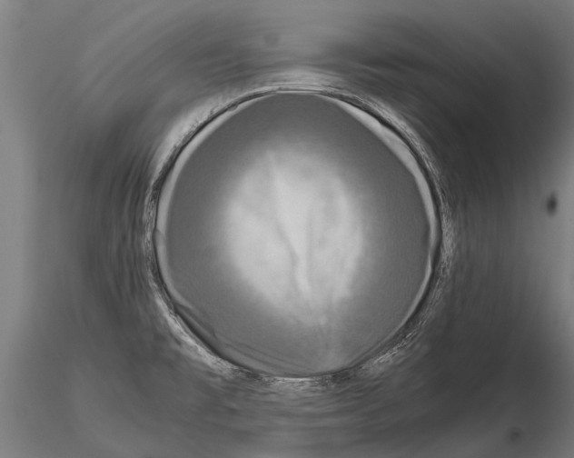 X0000115211477200912091146