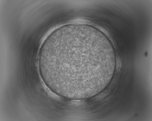 X0000115211478200912091146