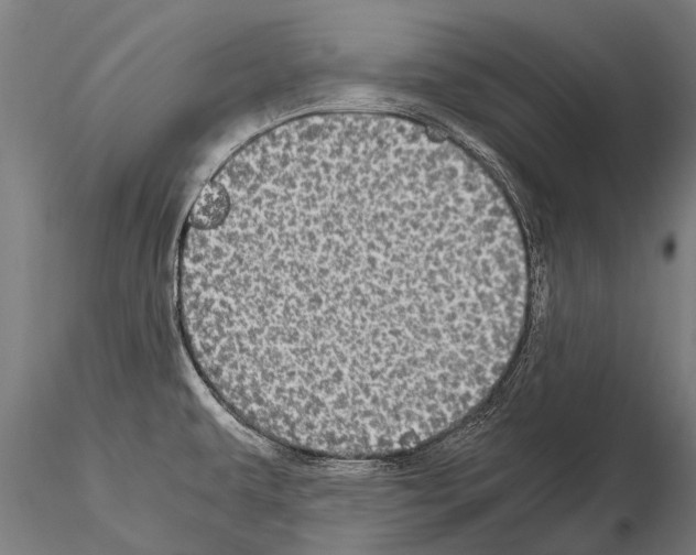 X0000115211479200912091146