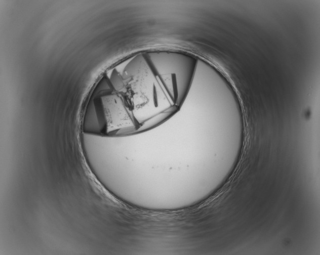 X0000115211480200912091146