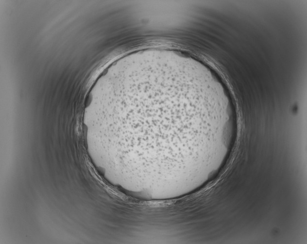 X0000115211481200912091146