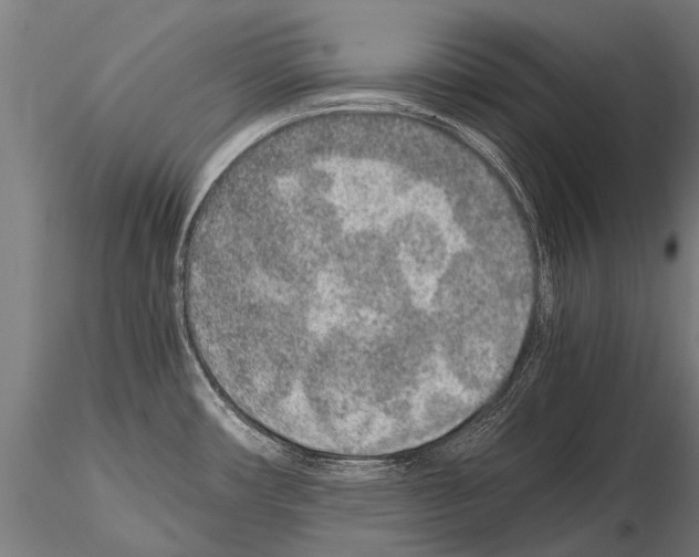 X0000115211482200912091146