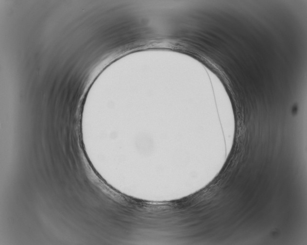 X0000115211483200912091146