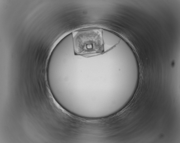 X0000115211484200912091146