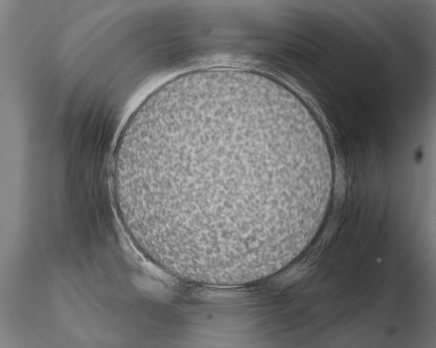 X0000115211486200912091146