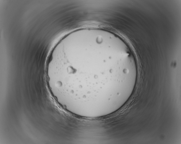 X0000115211488200912091146