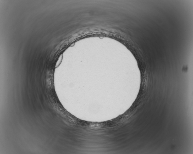 X0000115211490200912091146