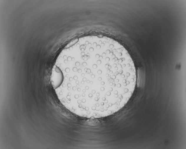 X0000115211491200912091146