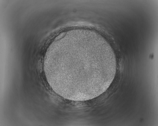 X0000115211493200912091146