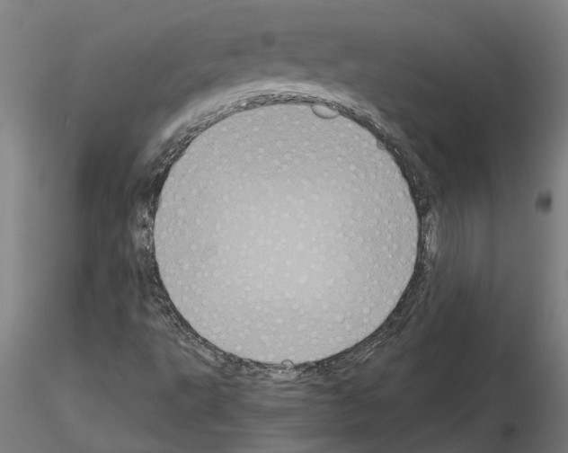 X0000115211495200912091146