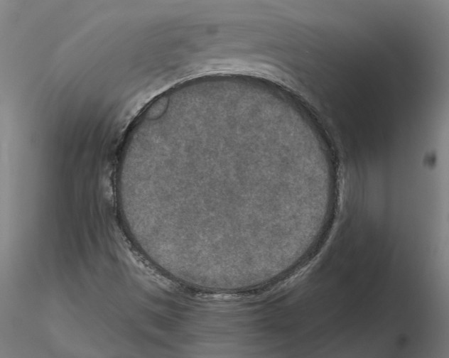 X0000115211497200912091146