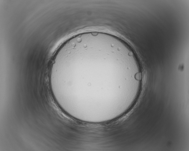 X0000115211498200912091146