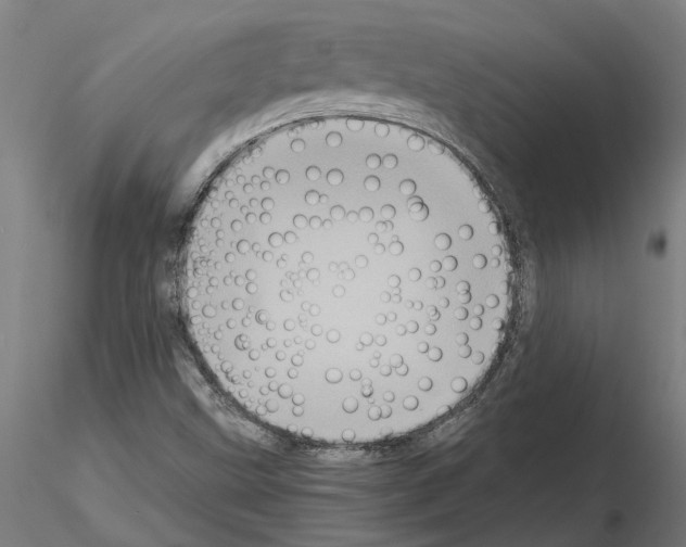 X0000115211499200912091146