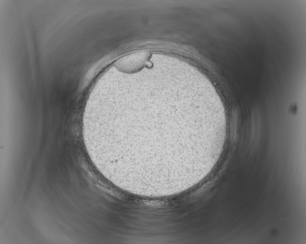 X0000115211501200912091146