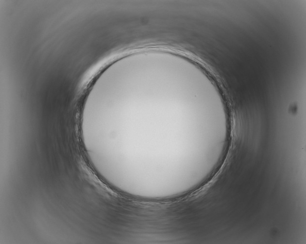 X0000115211502200912091146