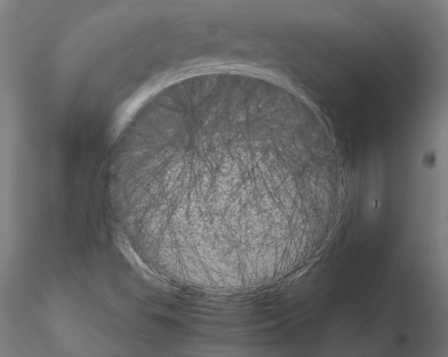 X0000115211503200912091146