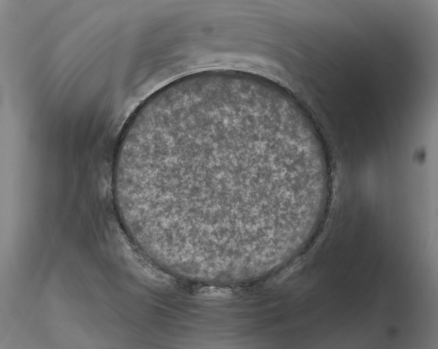 X0000115211505200912091146