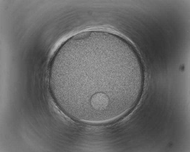 X0000115211506200912091146