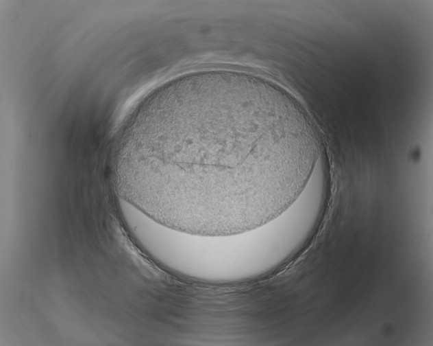 X0000115211507200912091146