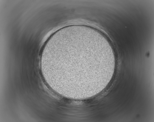 X0000115211509200912091146